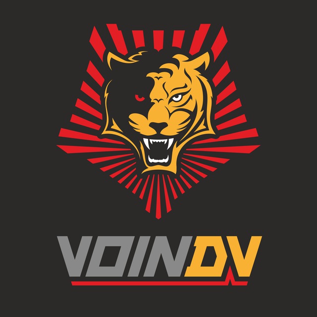 Аватар канала Воин DV