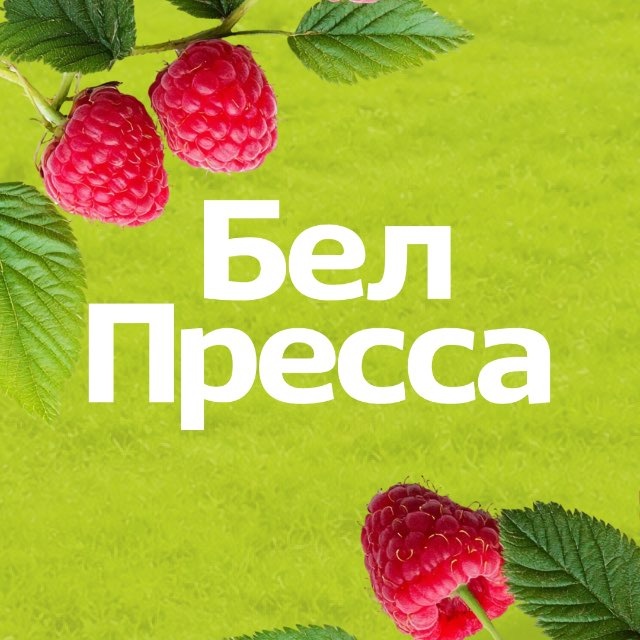 Аватар канала БелПресса | Новости Белгорода и Белгородской области