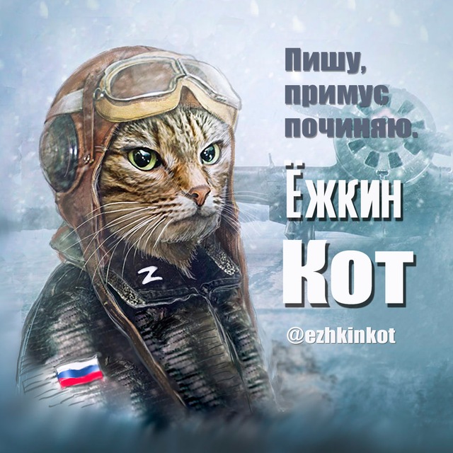 Аватар канала Ёжкин кот