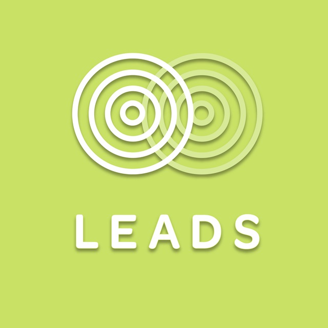 Аватар канала SMM LEADS