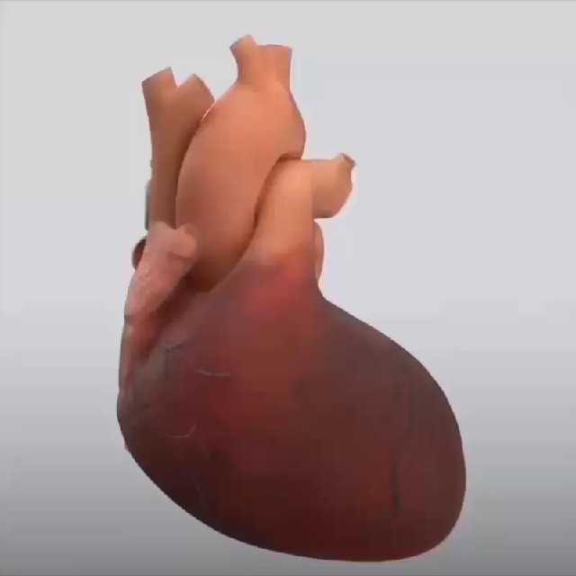 Аватар канала Health and Fitness™