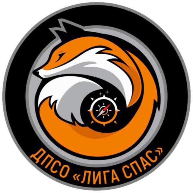 Аватар канала ДПСО «Лига Спас»