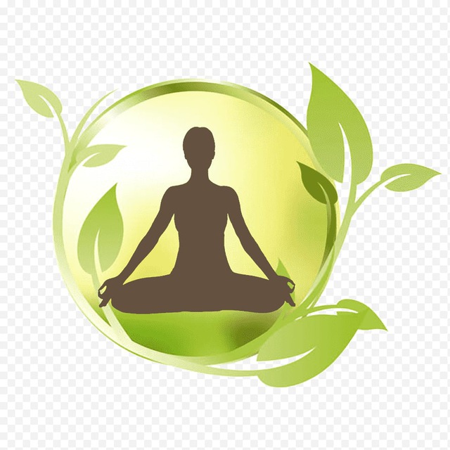 Аватар канала 🧘‍♀️ Йога для Начинающих