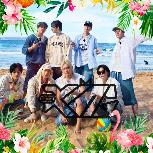 Аватар канала королевство stray kids 🌼