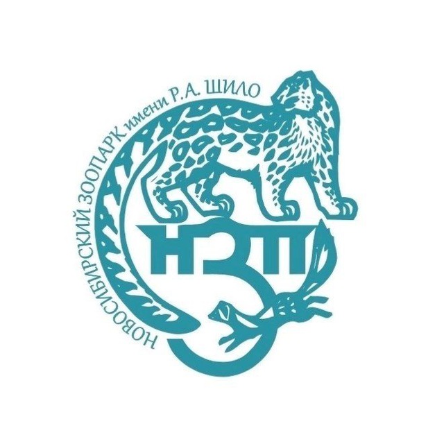 Аватар канала Новосибирский зоопарк