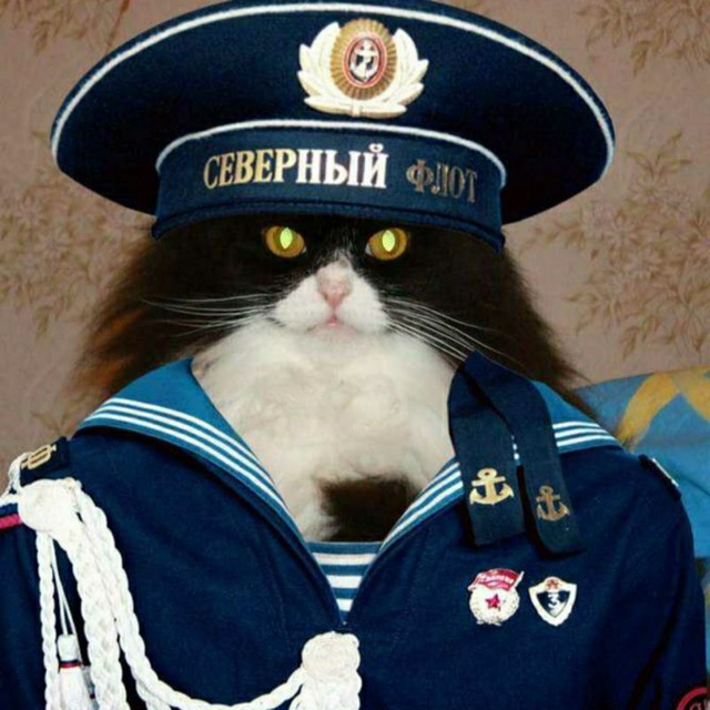 Аватар канала КотZ ГамаюнZ