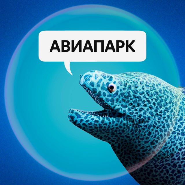 Аватар канала Мурена Настя