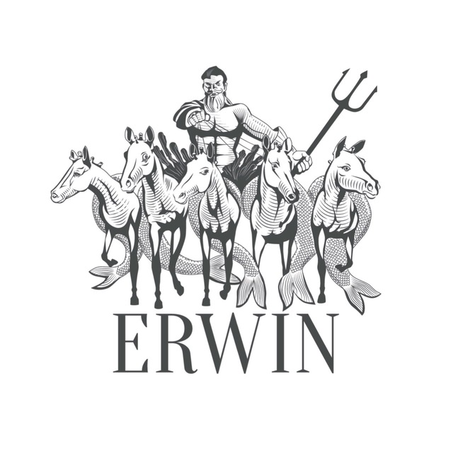 Аватар канала ERWIN.РАППОПОРТ