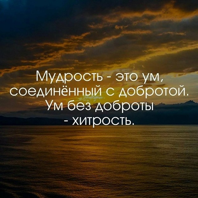 Аватар канала Афоризмы | Цитаты