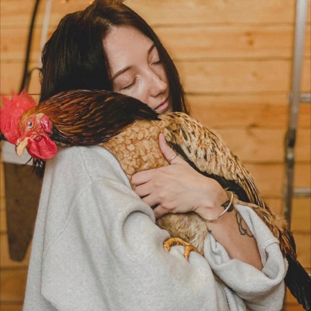 Аватар канала Village life — Современная деревня