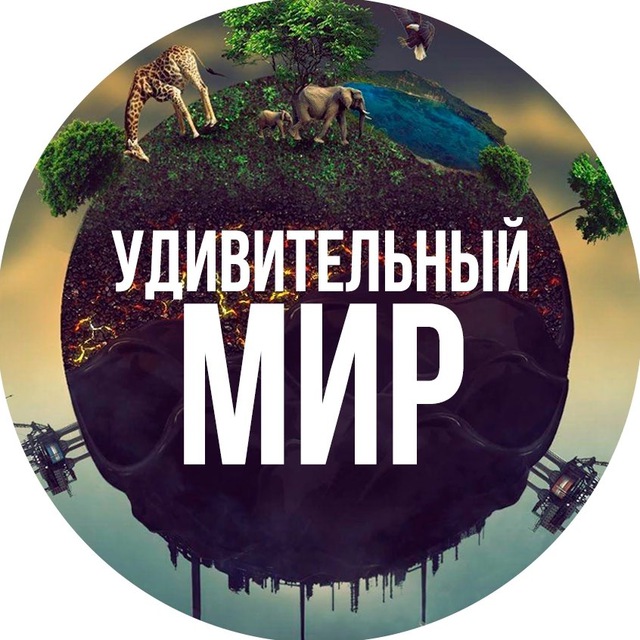 Аватар канала Удивительный мир🌍