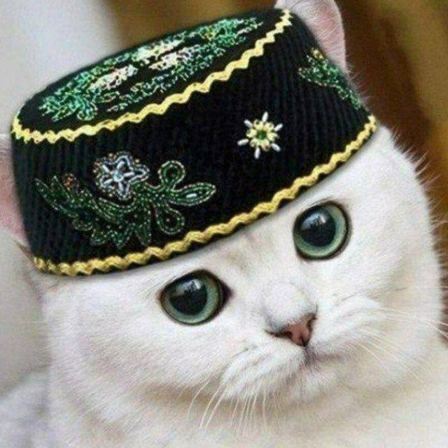 Аватар канала Абау