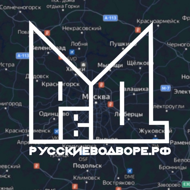 Аватар канала РУССКИЕ ВО ДВОРЕ
