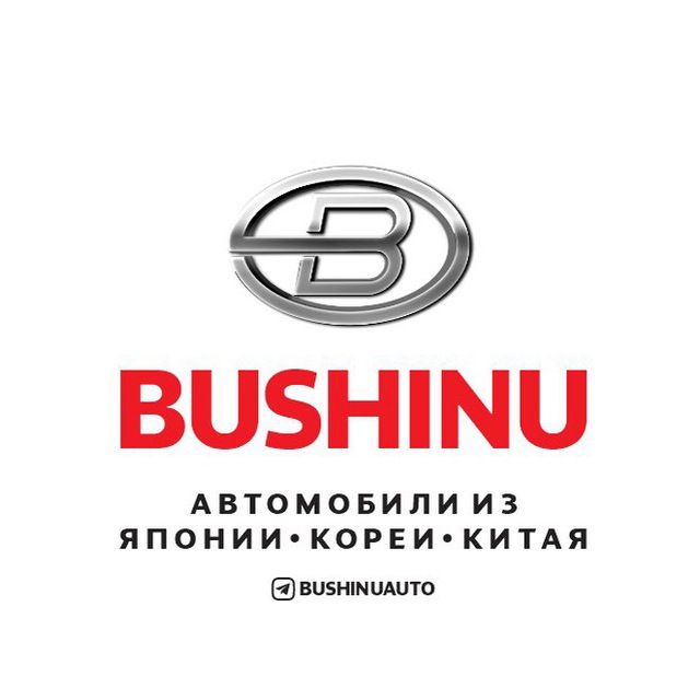 Аватар канала BUSHINUAUTO