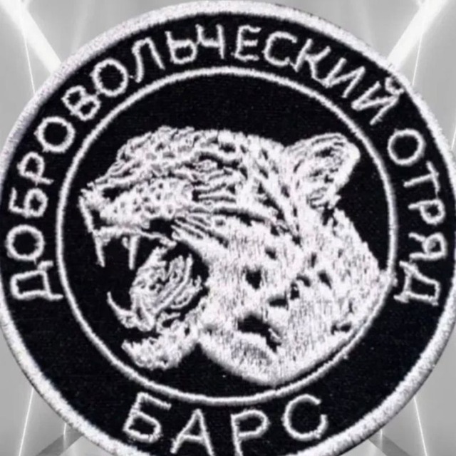 Аватар канала БАРС