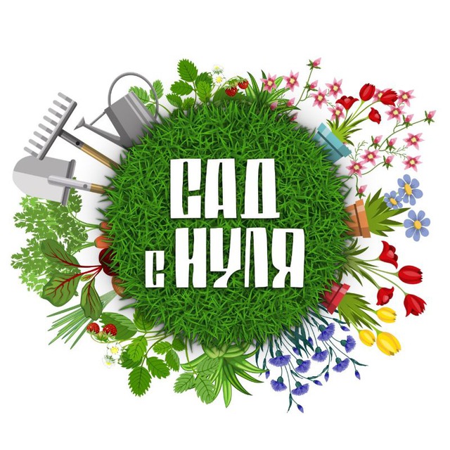 САД С НУЛЯ | Оксана Пискарёва