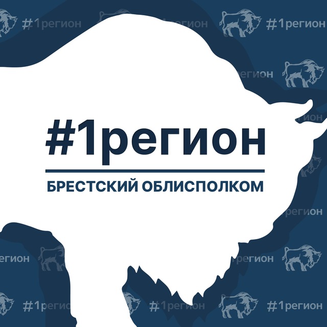 Аватар канала Брестский областной исполнительный комитет