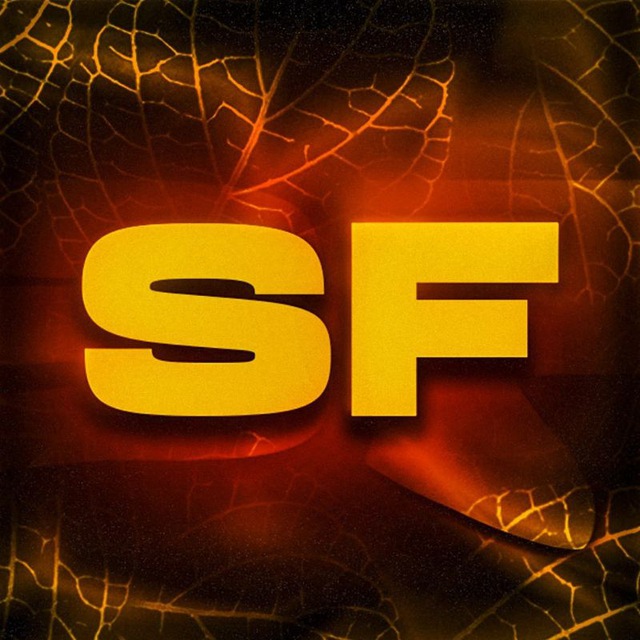 Аватар канала Snowflex Team