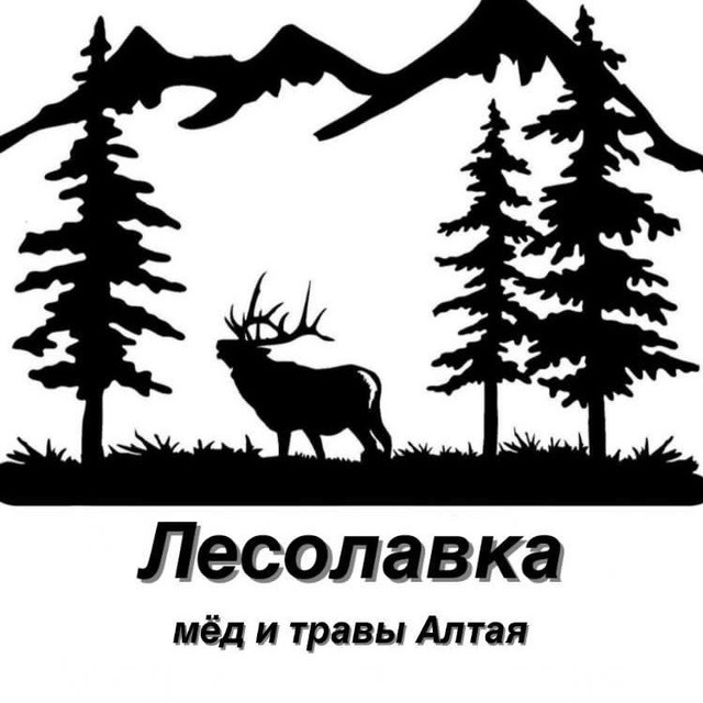 Аватар канала ЛЕСОЛАВКА 🍯Натуральный мёд 🍯