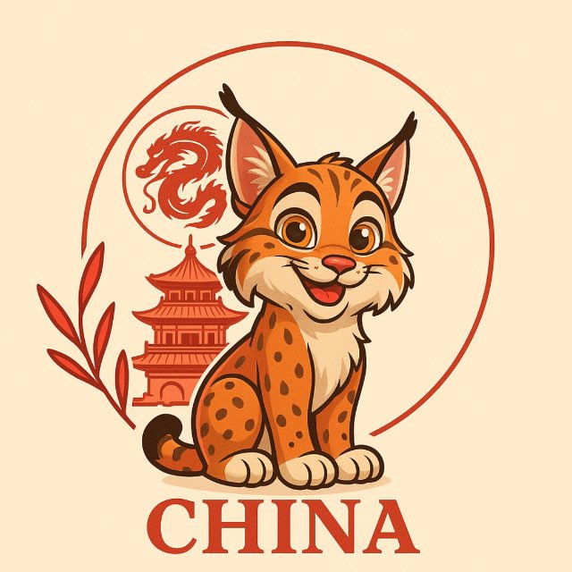 Аватар канала Покупки from China 🤍