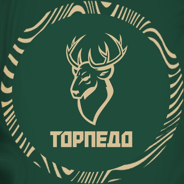 Аватар канала ПКМФ «Торпедо»