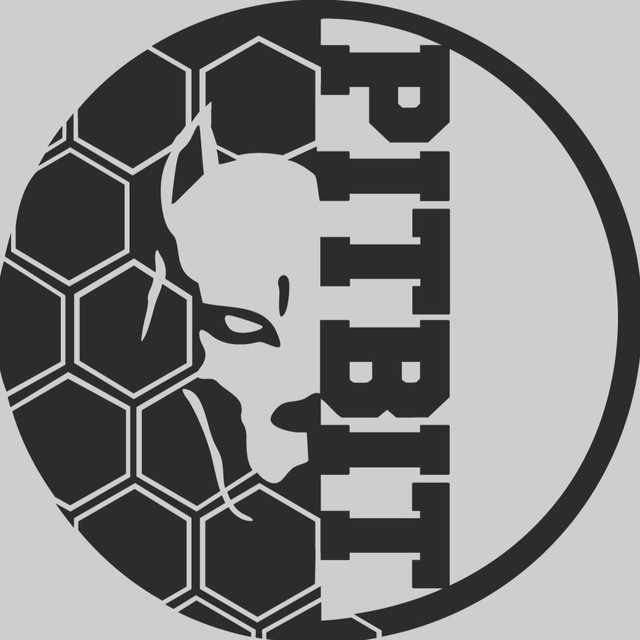 Аватар канала PITBIT | CHANNEL