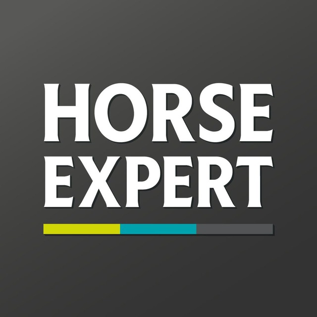 Аватар канала Horse Expert – журнал о лошадях
