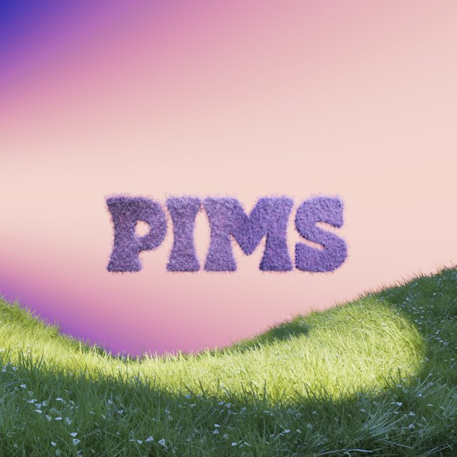 Аватар канала PIMS CLUB