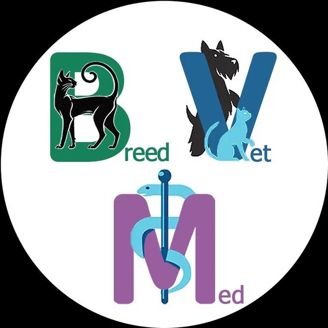 Аватар канала BrEEdМедВет