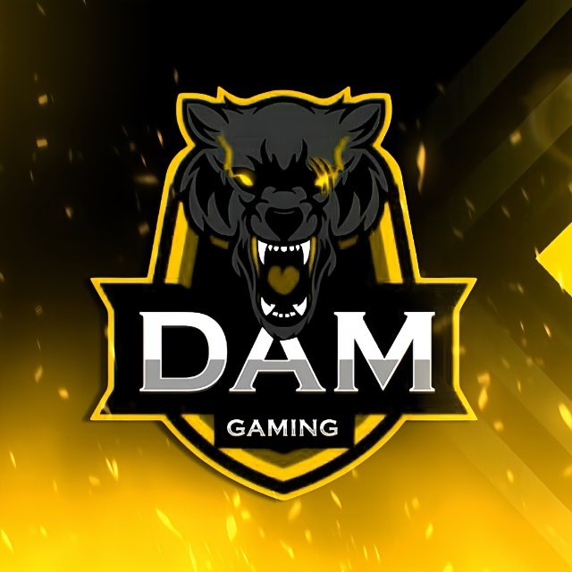 Аватар канала DAM GAMING 2.0