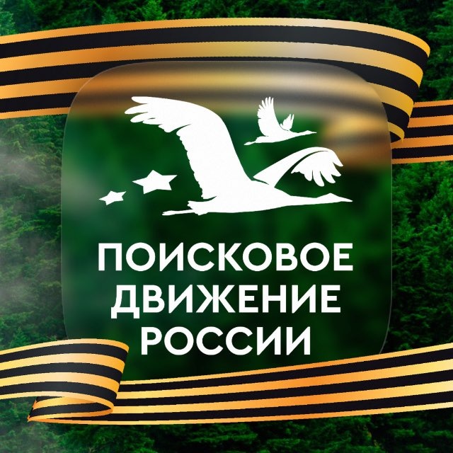 Аватар канала Поисковое движение России 🇷🇺