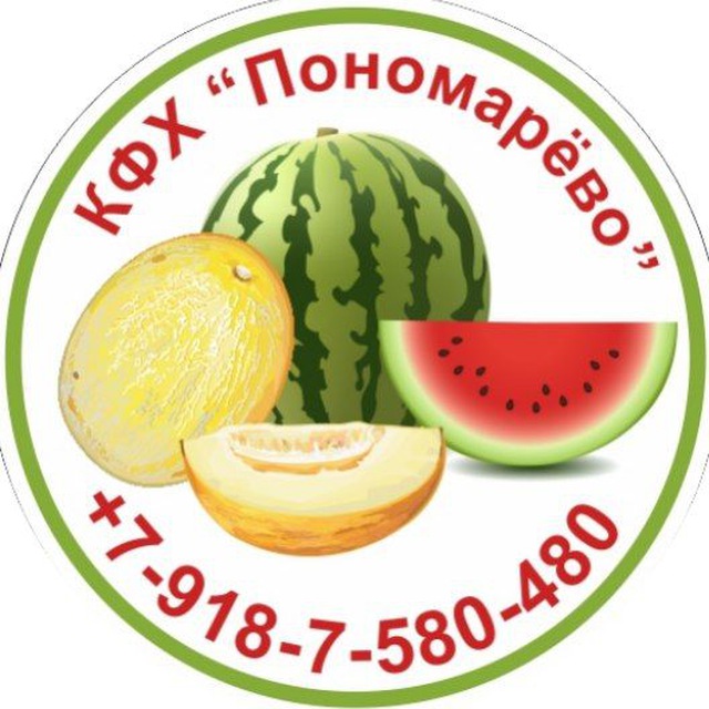 Аватар канала Бахча Пономарёвых