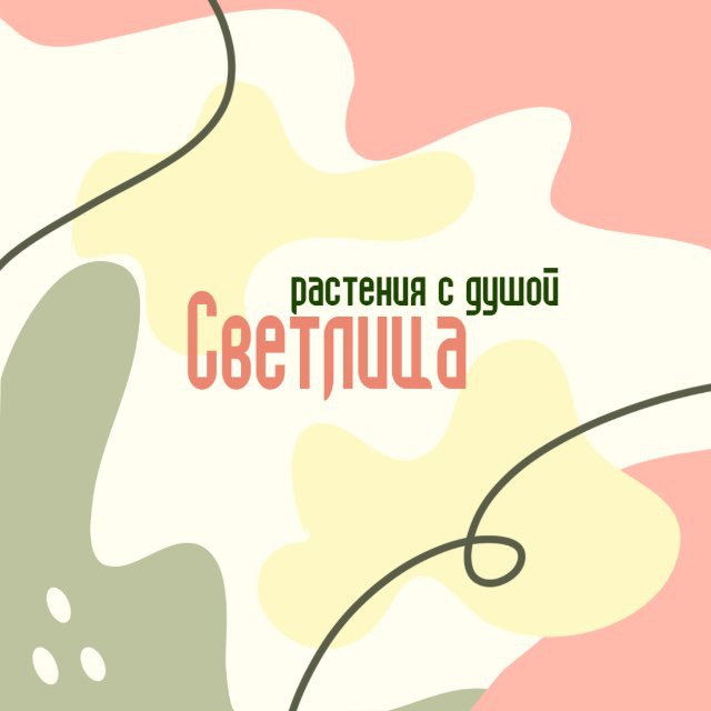 Аватар канала Светлица. Растения с душой