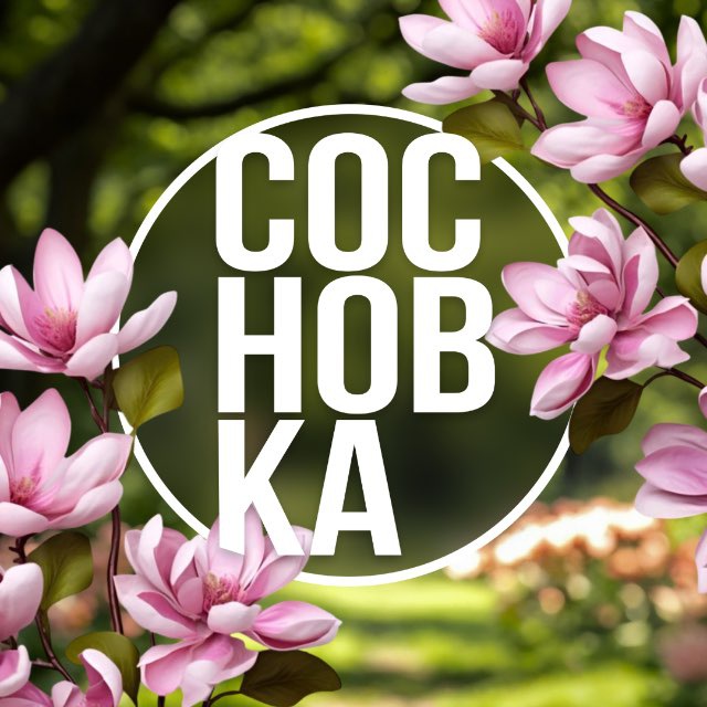 Аватар канала 🌿 Институт СосновКа