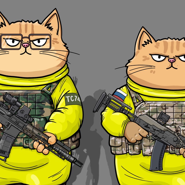 Аватар канала Тактические Коты / Tactical Cats