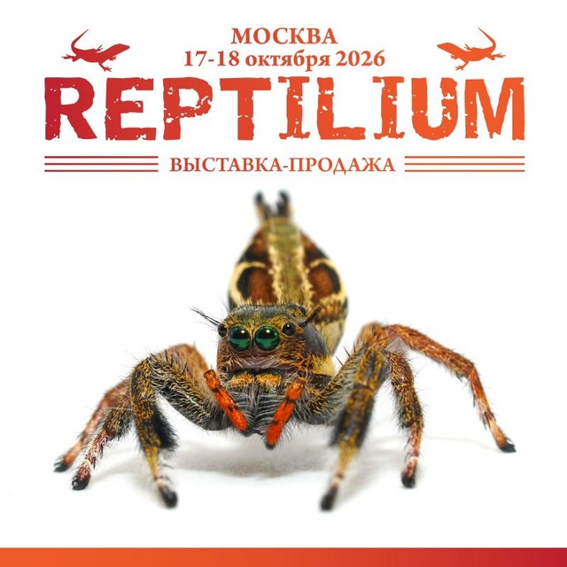 Рептилиум Reptilium | змеи | ящерицы | лягушки | рыбки