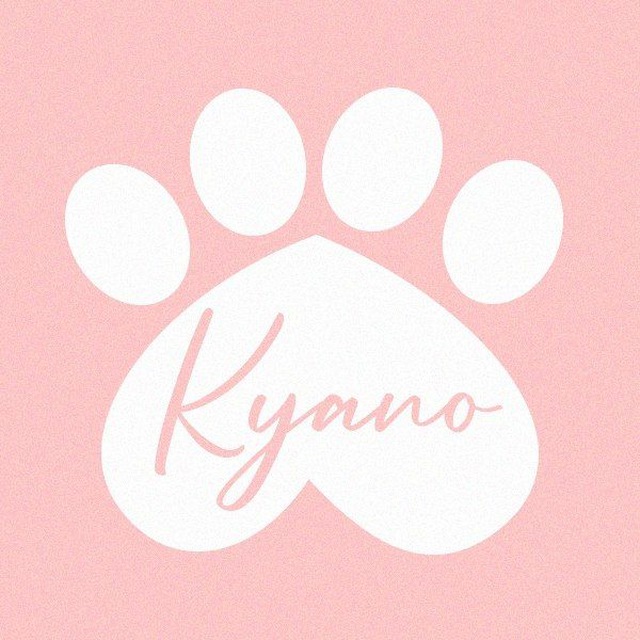 Аватар канала Kyano 🐰