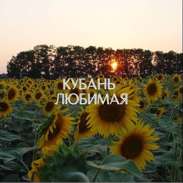 Аватар канала Любимая Кубань