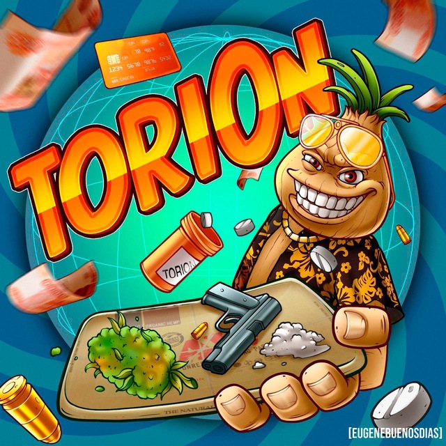 Аватар канала TORION