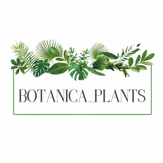 Аватар канала Botanica_plants