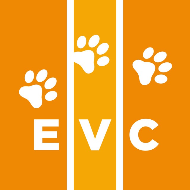 Аватар канала Ветеринарная помощь | Госпиталь EVC