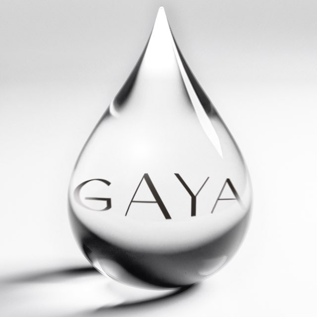 Аватар канала GAYA