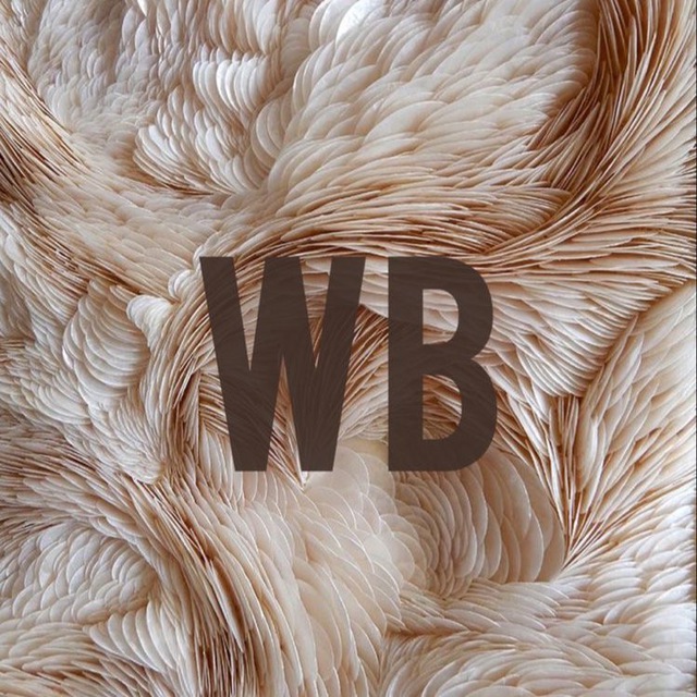 Аватар канала Etlesya_wb