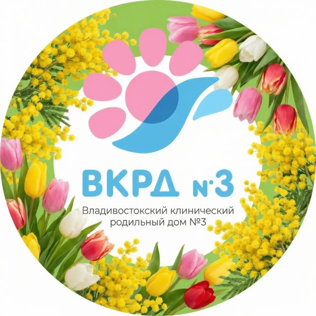 Аватар канала Роддом № 3 г. Владивосток