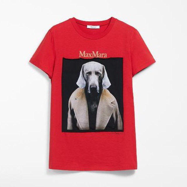 Аватар канала maxm_italian / Max Mara Italian