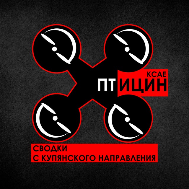 Аватар канала ПТИЦИН \ KCAE