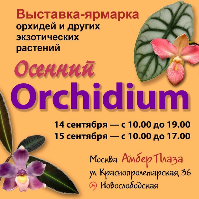 Аватар канала Орхидиум🪴💚