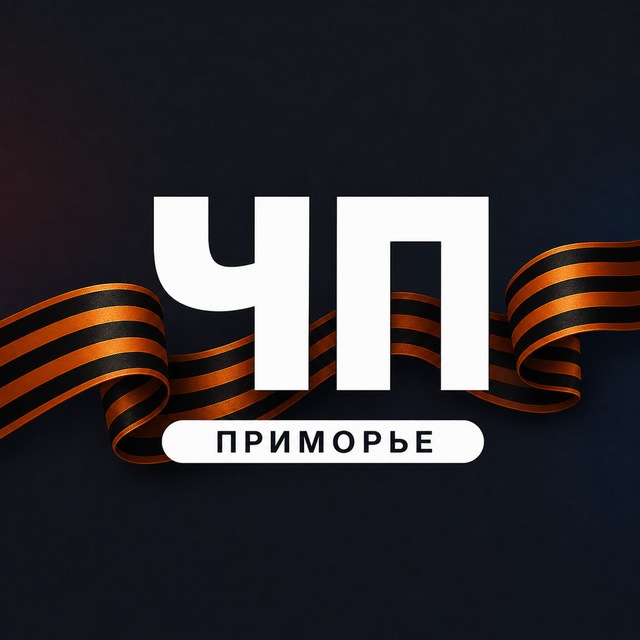 Аватар канала ЧП Приморье