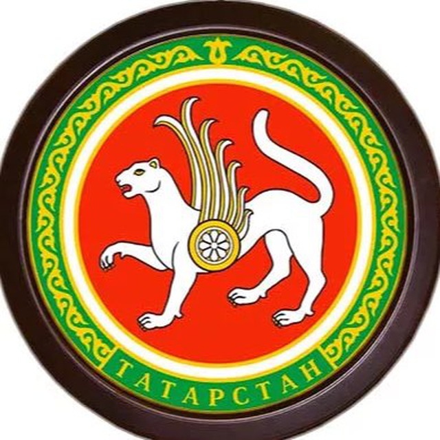 Аватар канала Мобилизация в Татарстане