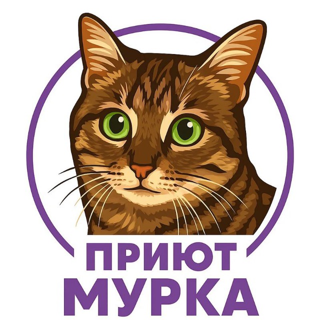 Аватар канала Частный приют "Мурка" (Волгоград)